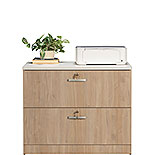 2-Drawer File Cabinet in Harvest Walnut 441410