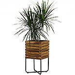 Wood Square Planter w/ Metal Legs in Natural 576835