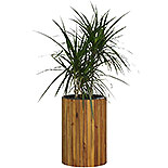 Round Planter with Pot in Acacia Wood 576848