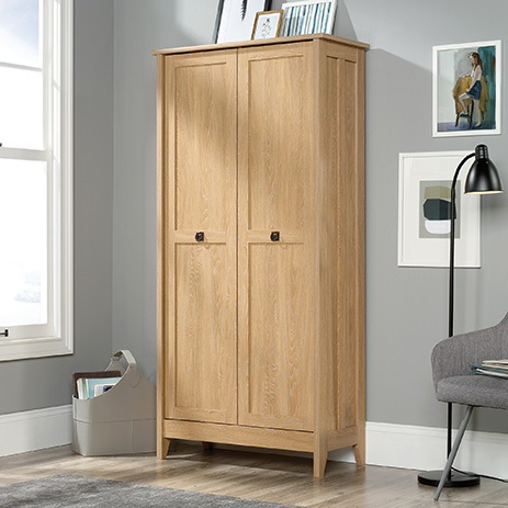 Finkelstein 2 Door Accent Cabinet Living Room Ideas In 2019 Rustic Storage Cabinets Door Storage Cabinet