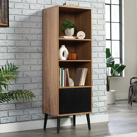 Bookcase With Door 431620