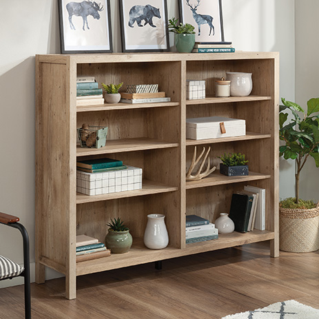 Bookcase 433566