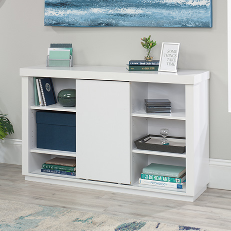 Bookcase With Door 433879