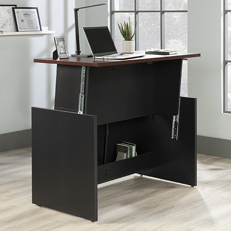 Sit/Stand Desk 437437